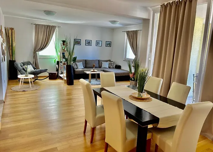 David 비오그라드나모루