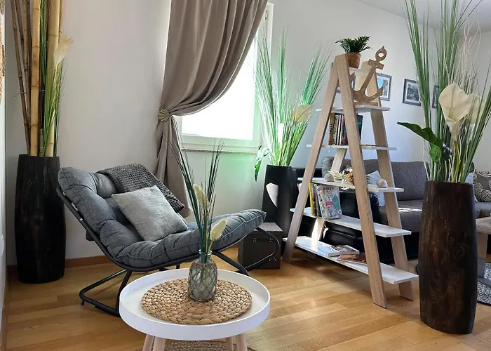 David 비오그라드나모루