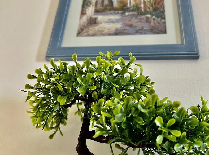 David 비오그라드나모루