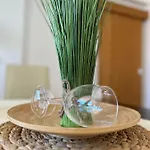 Apartament David Biograd Na Moru