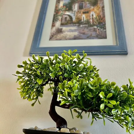 David Biograd Na Moru