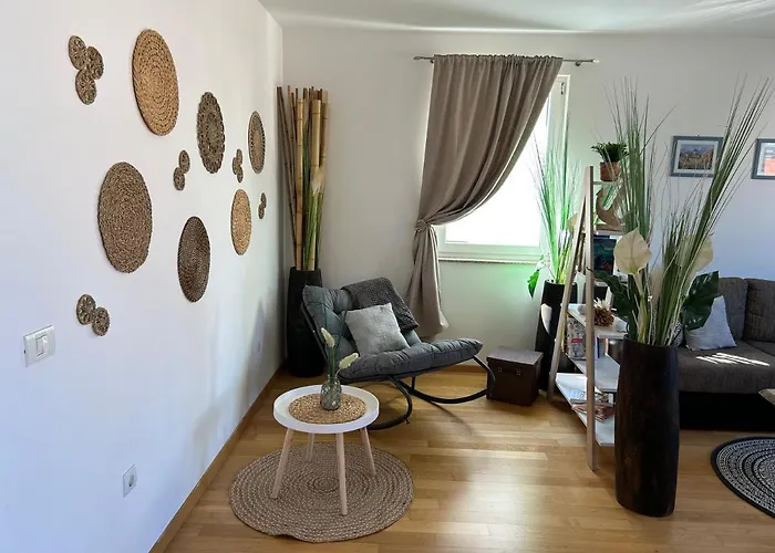 David Биоград-на-Мору